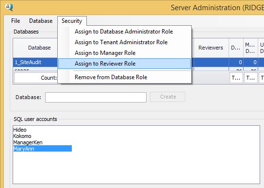 Assigning Roles for SQL Authenticated Users | Netaphor SiteAudit(TM ...